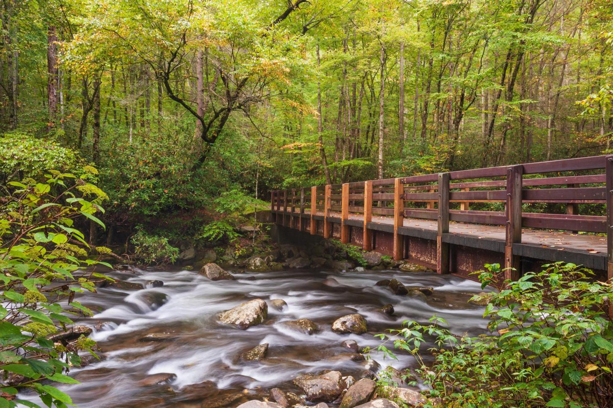 A Million Dollar View- Get 951 Worth Of Free Area Attraction Tickets For Each Paid Day! Villa Gatlinburg Dış mekan fotoğraf
